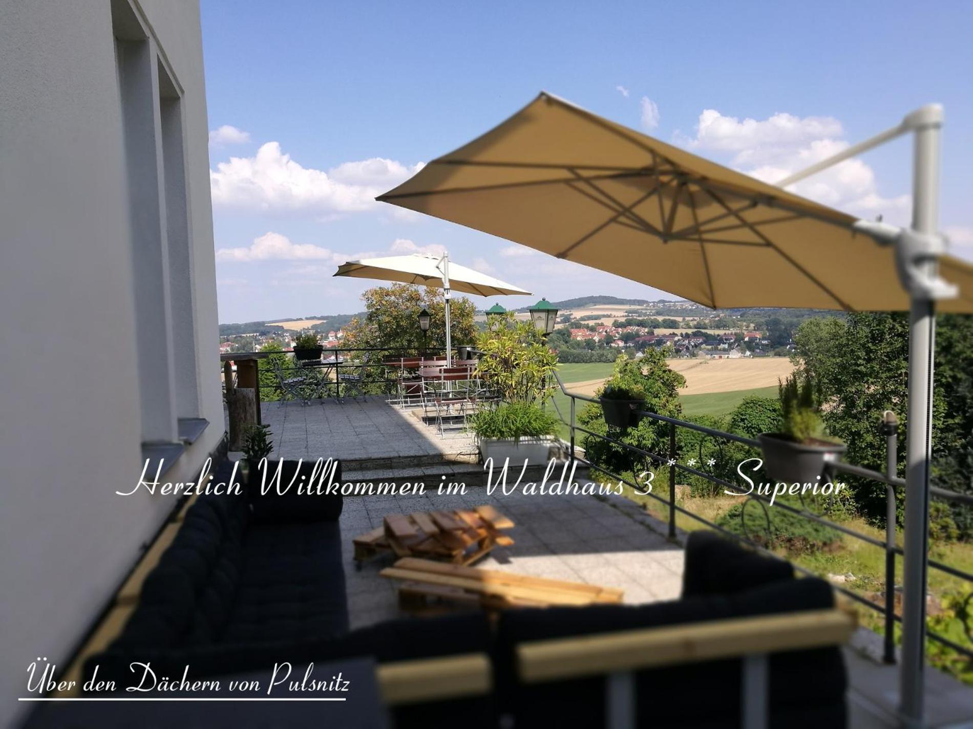 Waldhaus Pulsnitz Hotel Kültér fotó